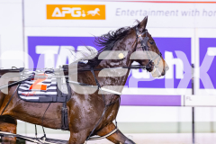 2026_PACEPIX_GP22052026_RACE1_DarkEyes_WIN_WEB-9