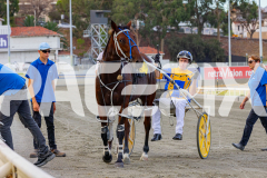 2026_PACEPIX_GP20032026_RACE1_DelightfulPeg_WIN_WEB-17