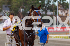 2026_PACEPIX_GP20032026_RACE1_DelightfulPeg_WIN_WEB-18