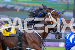 2026_PACEPIX_GP20032026_RACE1_DelightfulPeg_WIN_WEB-3