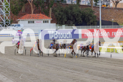 2026_PACEPIX_GP20032026_RACE1_DelightfulPeg_WIN_WEB-6