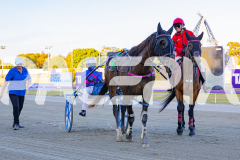 2025_PACEPIX_GP29112025_Race1_Delulu_WIN_WEB-10