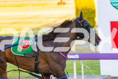 2025_PACEPIX_GP29112025_Race1_Delulu_WIN_WEB-7