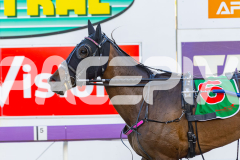 2025_PACEPIX_GP29112025_Race1_Delulu_WIN_WEB-9