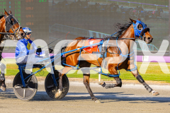 RACE 1 - Drop The Ace