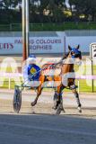 2025_PACEPIX_GP14102025_Race1_DropTheAce_WIN_WEB-11