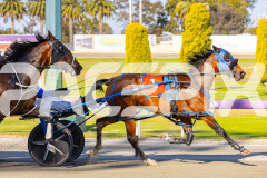 2025_PACEPIX_GP14102025_Race1_DropTheAce_WIN_WEB-3