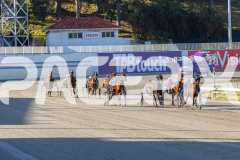 2025_PACEPIX_GP14102025_Race1_DropTheAce_WIN_WEB-4