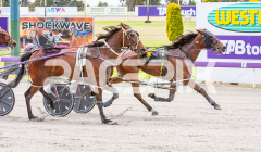 Gloucester Park - 05/11/2025