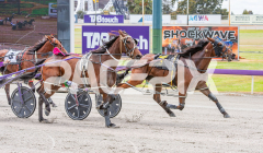 Elvira-Jane_05-11-2025_WIN_Gloucester-Park_1__03