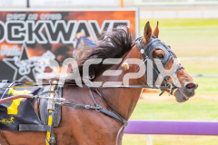 Elvira-Jane_05-11-2025_WIN_Gloucester-Park_1__10