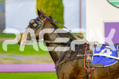 2025_PACEPIX_GP23052025_Race1_EnPariantSur_WIN_WEB-14
