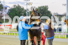 2025_PACEPIX_GP23052025_Race1_EnPariantSur_WIN_WEB-17