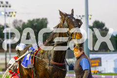 2025_PACEPIX_GP23052025_Race1_EnPariantSur_WIN_WEB-18