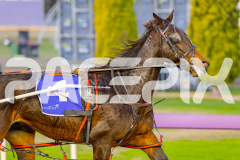 2025_PACEPIX_GP23052025_Race1_EnPariantSur_WIN_WEB-5