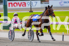 RACE 1 - Essence Of Royalty