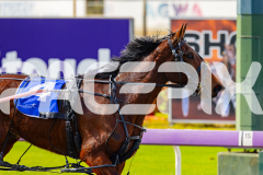 2026_PACEPIX_GP20072026_RACE1_EssenceOfRoyalty_WIN_WEB-11