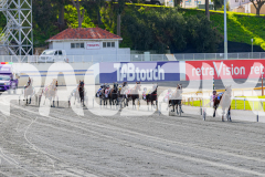 2026_PACEPIX_GP20072026_RACE1_EssenceOfRoyalty_WIN_WEB-4
