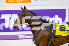2026_PACEPIX_GP08052026_Race1_FabulousDream_WIN_WEB-10