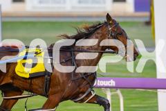 2026_PACEPIX_GP08052026_Race1_FabulousDream_WIN_WEB-3