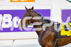 2026_PACEPIX_GP08052026_Race1_FabulousDream_WIN_WEB-9