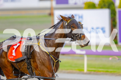 2025_PACEPIX_GP09052025_RACE1_Fireplay_WIN_WEB-11