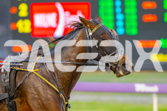 2025_PACEPIX_GP09052025_RACE1_Fireplay_WIN_WEB-12