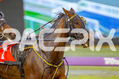2025_PACEPIX_GP09052025_RACE1_Fireplay_WIN_WEB-2