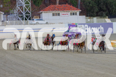 2025_PACEPIX_GP09052025_RACE1_Fireplay_WIN_WEB-4