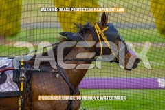 2026_PACEPIX_GP30102026_RACE1_FLOATMYBOAT_WIN_WEB-21