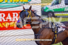 2026_PACEPIX_GP30102026_RACE1_FLOATMYBOAT_WIN_WEB-25
