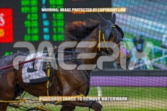 2026_PACEPIX_GP30102026_RACE1_FLOATMYBOAT_WIN_WEB-5