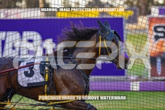2026_PACEPIX_GP30102026_RACE1_FLOATMYBOAT_WIN_WEB-6