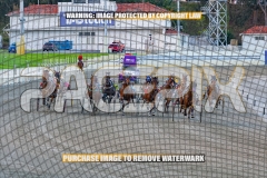 2026_PACEPIX_GP30102026_RACE1_FLOATMYBOAT_WIN_WEB-7