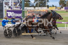 Flyin-Disco_25-09-2026_WIN_Gloucester-Park_1__03