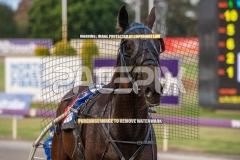 Flyin-Disco_25-09-2026_WIN_Gloucester-Park_1__12