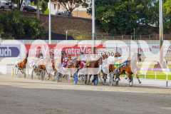 2026_PACEPIX_GP02012026_RACE1_FrancoEncore_WIN_WEB-1