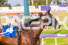 2026_PACEPIX_GP02012026_RACE1_FrancoEncore_WIN_WEB-13