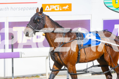 2026_PACEPIX_GP02012026_RACE1_FrancoEncore_WIN_WEB-15
