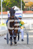 2026_PACEPIX_GP02012026_RACE1_FrancoEncore_WIN_WEB-19