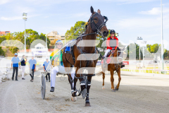 2026_PACEPIX_GP02012026_RACE1_FrancoEncore_WIN_WEB-20