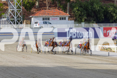 2026_PACEPIX_GP02012026_RACE1_FrancoEncore_WIN_WEB-5