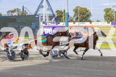 2026_PACEPIX_GP02012026_RACE1_FrancoEncore_WIN_WEB-9