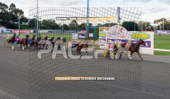 Fuego-Cruzado_04-08-2026_WIN_Gloucester-Park_1__01