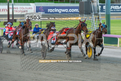 Fuego-Cruzado_04-08-2026_WIN_Gloucester-Park_1__08