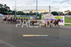 Fuego-Cruzado_04-08-2026_WIN_Gloucester-Park_1__09