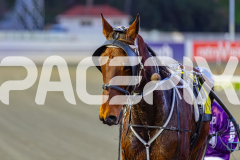 2026_PACEPIX_GP23062026_Race1_Gametime_WIN_WEB-18