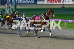 Gametime_16-06-2026_WIN_Gloucester-Park_1__02