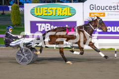 Gametime_16-06-2026_WIN_Gloucester-Park_1__05