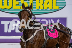 Gametime_16-06-2026_WIN_Gloucester-Park_1__09
